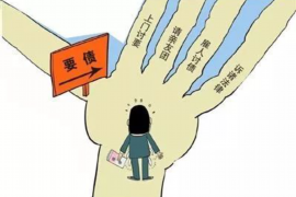 阳江融资清欠服务